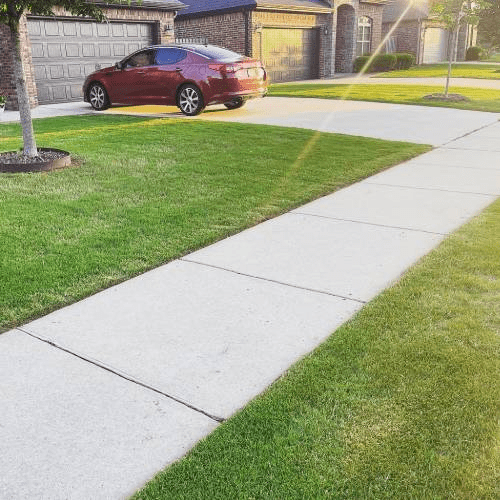 Lawn Care